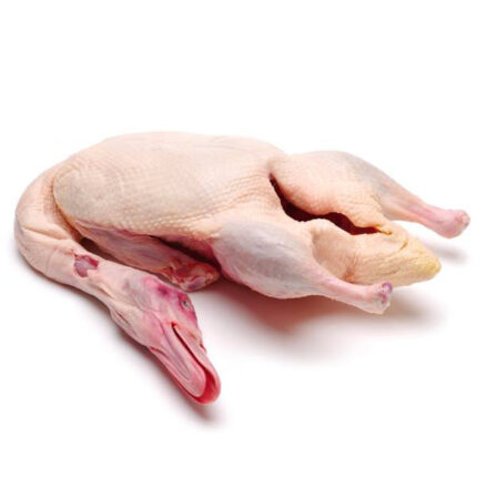 Local Duck - দেশি হাঁস