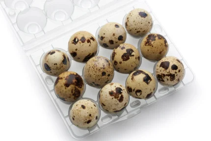 Quail Egg 20 Pcs